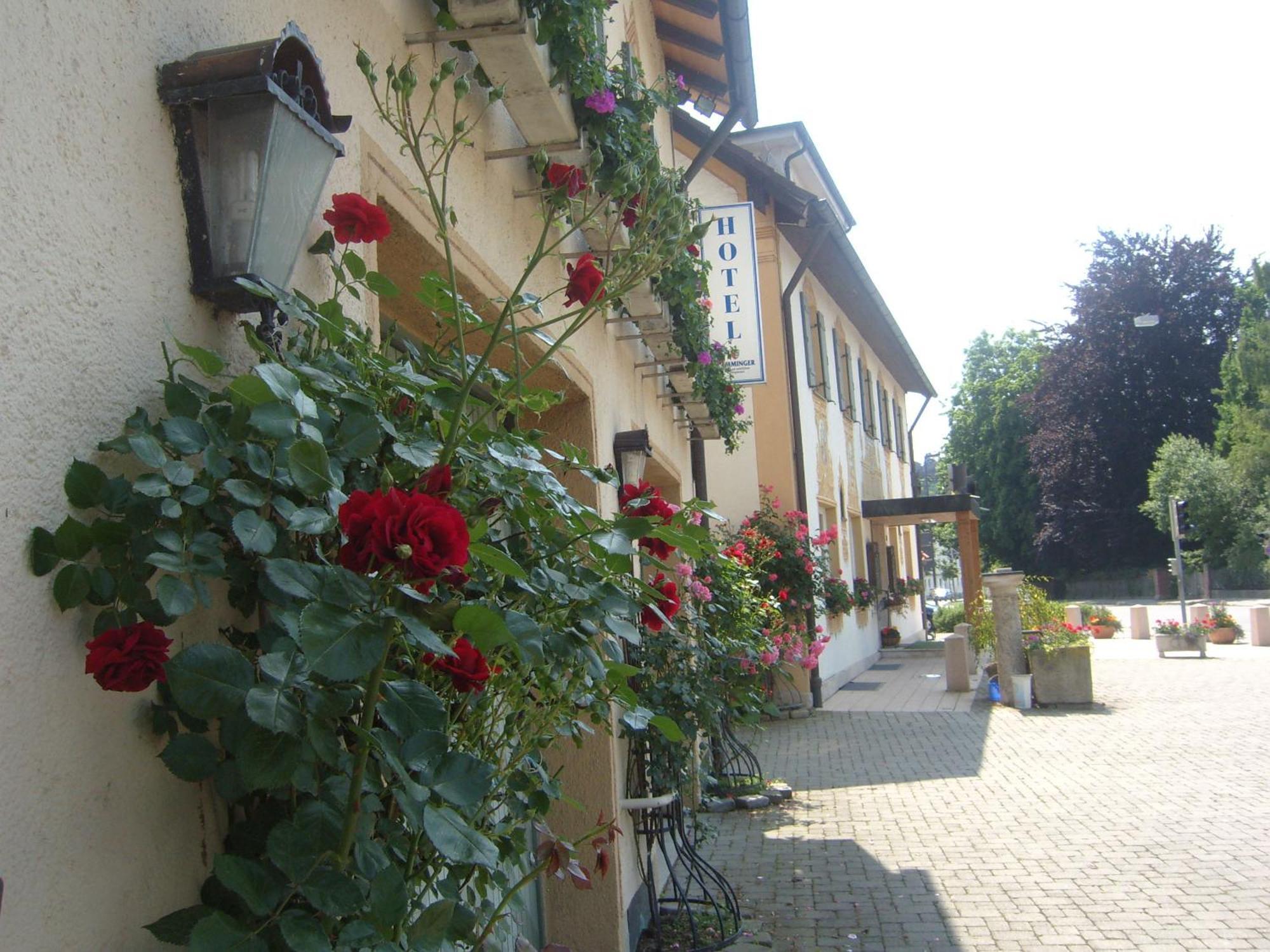 Hotel Gasthof Stern Mindelheim Eksteriør bilde